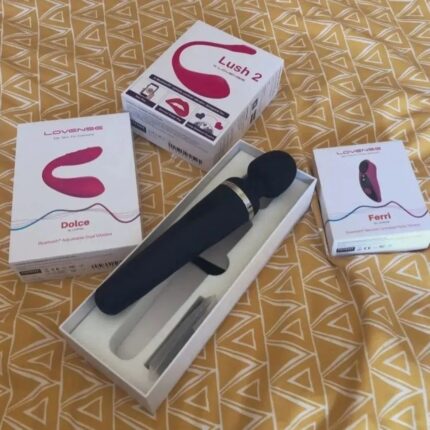 Vibrator with remote